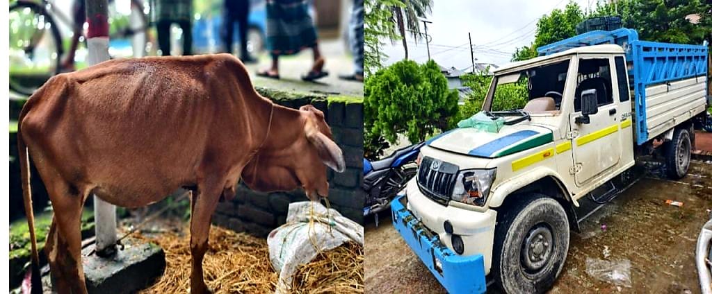 গ্রামবাসীর ধাওয়া খেয়ে প্রাণ বাঁচাতে গাড়ি ও গরু রেখে পালালেন চোর চক্র
