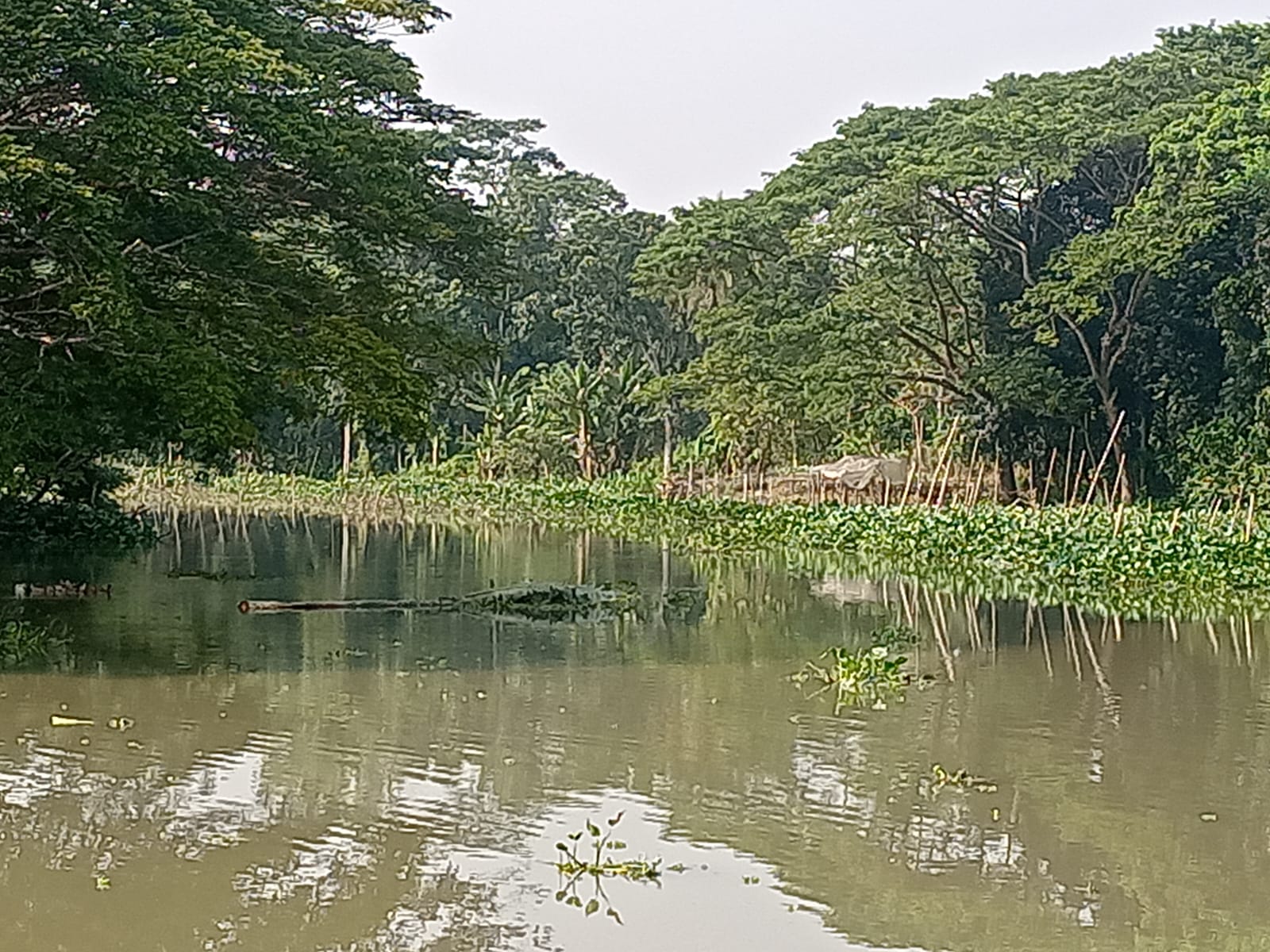 নাব্যতা হারিয়ে ঝালকাঠির খরশ্রোতা বাসন্ডা নদী খালে পরিনত হচ্ছে, খননের দাবী এলাকাবাসীর