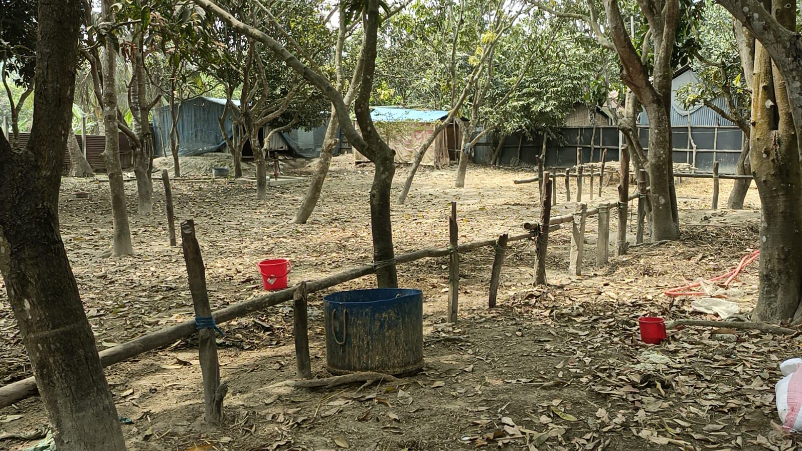 মুন্সীগঞ্জে ২৮টি গরু লুট