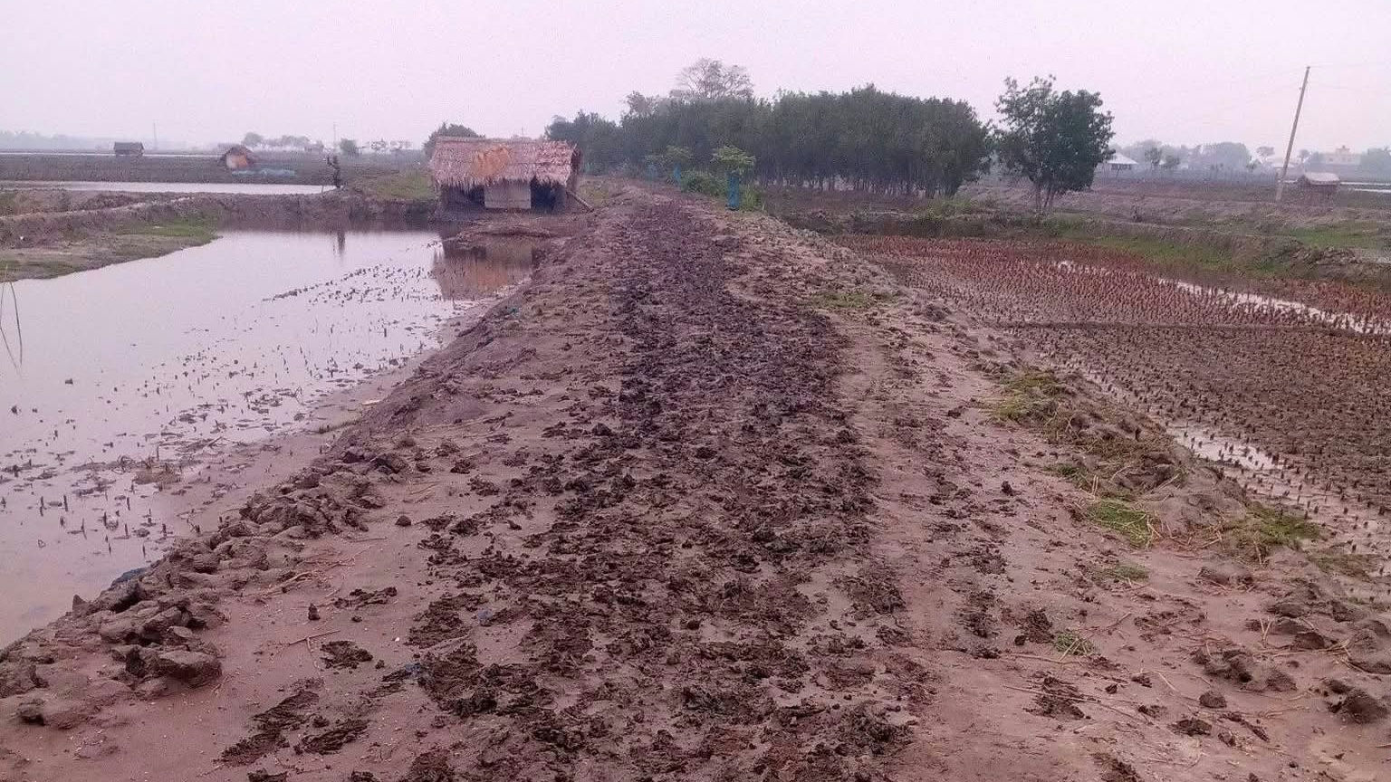 খুলনার পাইকগাছায় সংস্কারের অভাবে চলাচলের একমাত্র রাস্তা মরণফাঁদে পরিণত : চরম দুর্ভোগে এলাকাবাসী