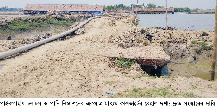 পাইকগাছায় চলাচল ও পানি নিস্কাশনের একমাত্র মাধ্যম কালভার্টের বেহাল দশা: দ্রুত সংস্কারের দাবি এলাকাবাসীর