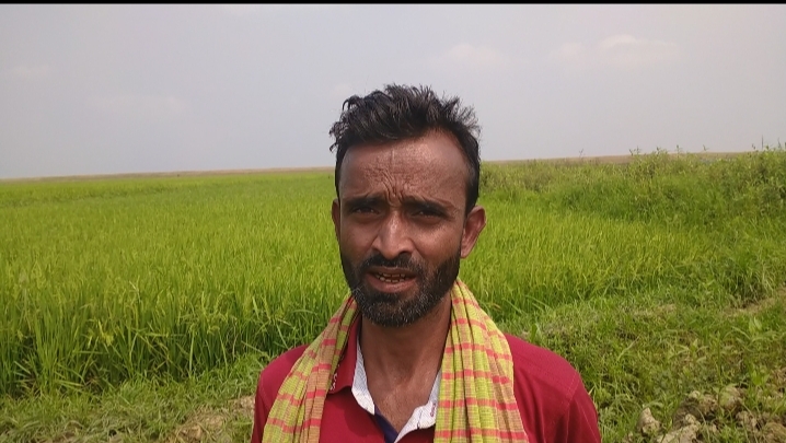 বিএনপি নেতার হাতে বিএনপি নেতা লাঞ্চিত