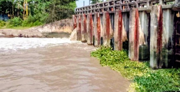 বটিয়াঘাটায় তেঁতুলতলা স্লুইজ গেট ভেঙে জোয়ারের পানি প্রবেশ, বোরো চাষে বিপর্যয়