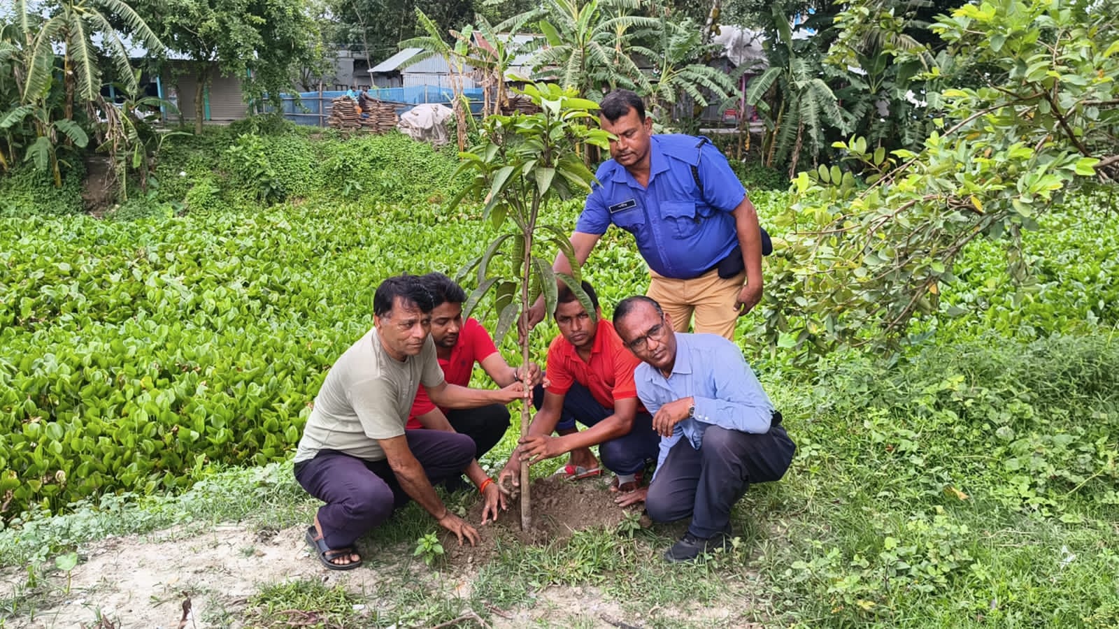প্রধানমন্ত্রীর নির্দেশে সারা দেশের ন্যায় কোটালীপাড়ার সাদুল্লাপুর ইউনিয়নে বৃক্ষরোপণ করলেন ইউপি চেয়ারম্যান খোকন
