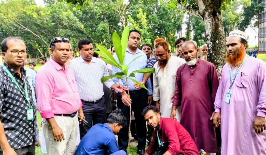মাগুরার শ্রীপুরে ক্রীড়া সংস্থার উদ্যোগে ফুটবল বিতরণ ও বৃক্ষরোপণ