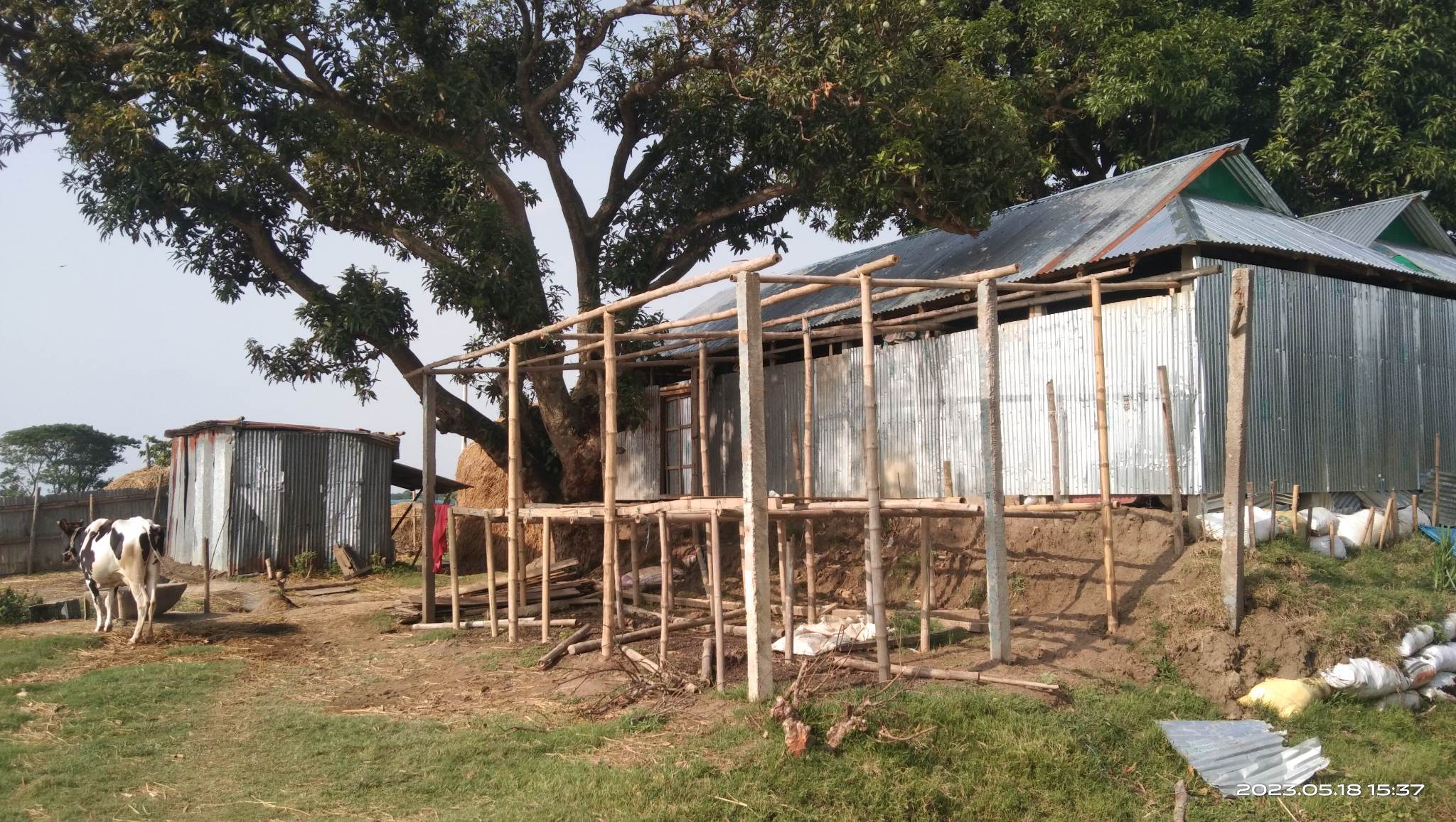 নেত্রকোনার কেন্দুয়ায় সরকারি জমি দখল করে খামার ঘর নির্মাণ