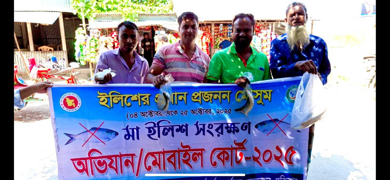 পদ্মায় প্রধান প্রজনন মৌসুমে ইলিশ সম্পদ রক্ষায় অভিযান : জব্দ করা মাছ পেলো রিকশাচালকরা