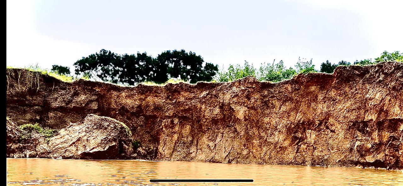 ফরিদপুরের চরভদ্রাসনে পদ্মার ভাঙনে ৩০ মিটার বাঁধ বিলীন হুমকির মুখে বাড়ি-স্কুল-পাকা সড়ক