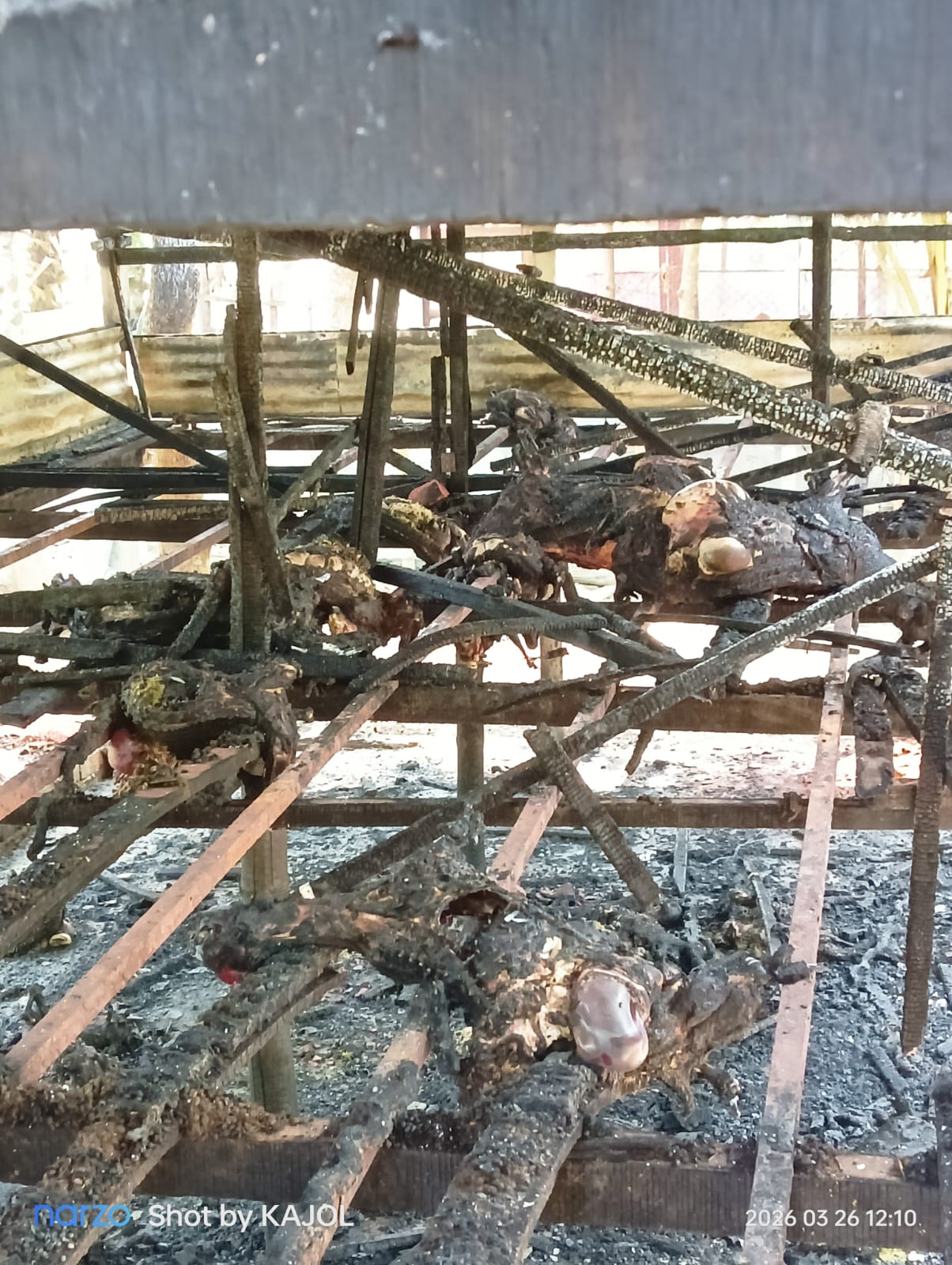 ফরিদপুরের ভাঙ্গায় আগুনে পুড়ল তরুণ উদ্যোক্তাদের স্বপ্ন : ৩৬টি ছাগলের মৃত্যু, ১০ লক্ষাধিক টাকার ক্ষতি