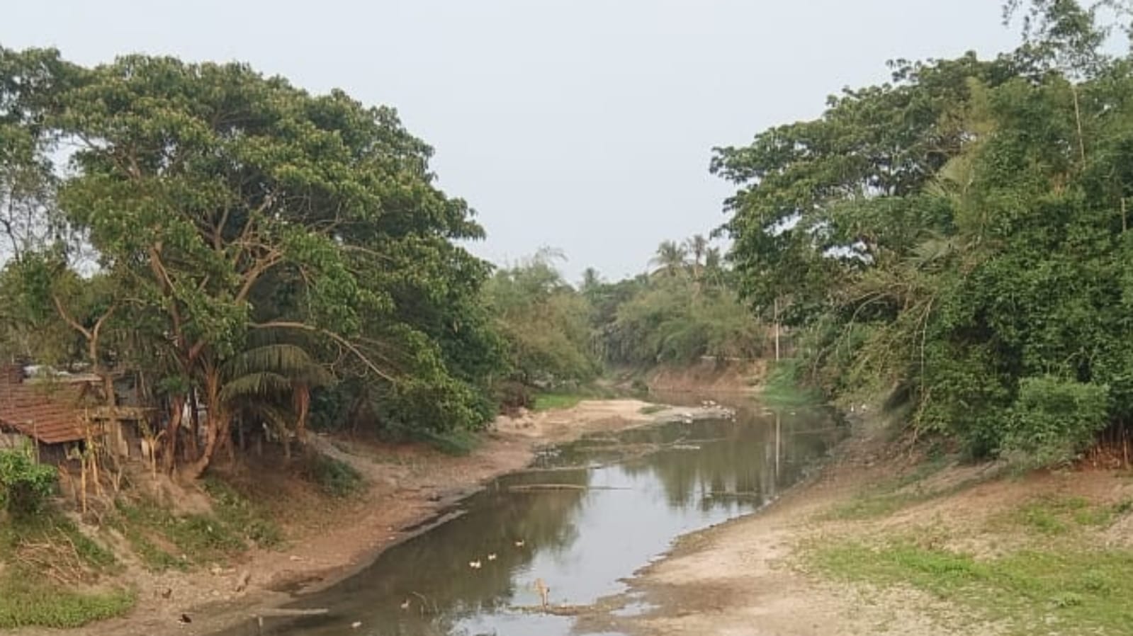 ৫২ বিলের কান্না: শার্শার জলাবদ্ধতা নিরসনে শহীদ জিয়ার অসমাপ্ত কাজ বাস্তবায়ন ও দাউদখালী খাল সংস্কার সহ সোনাই নদীর সংযোগ এখন সময়ের দাবি