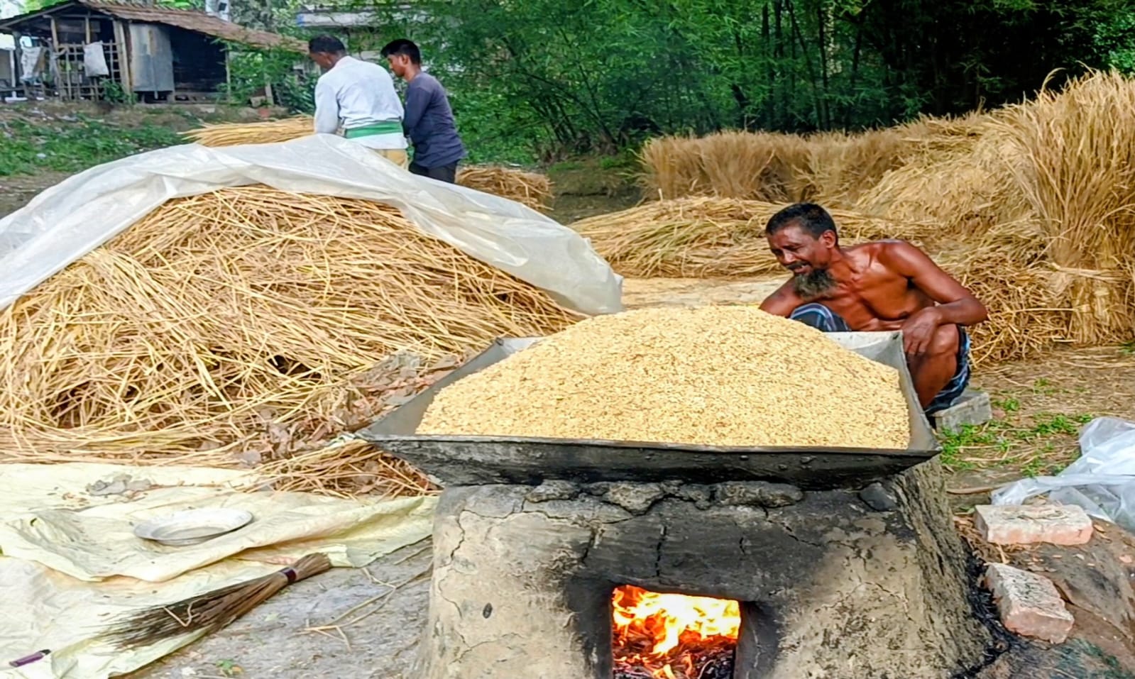 খুলনাঞ্চলে বোরোর বাম্পার ফলন, হাসি ফুটেছে কৃষকের মুখে